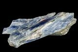 Vibrant Blue Kyanite Crystals In Quartz - Brazil #113468-1